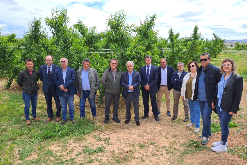 La modernización del regadío  en Calanda aporta ahorros del 40% en recurso y coste del agua