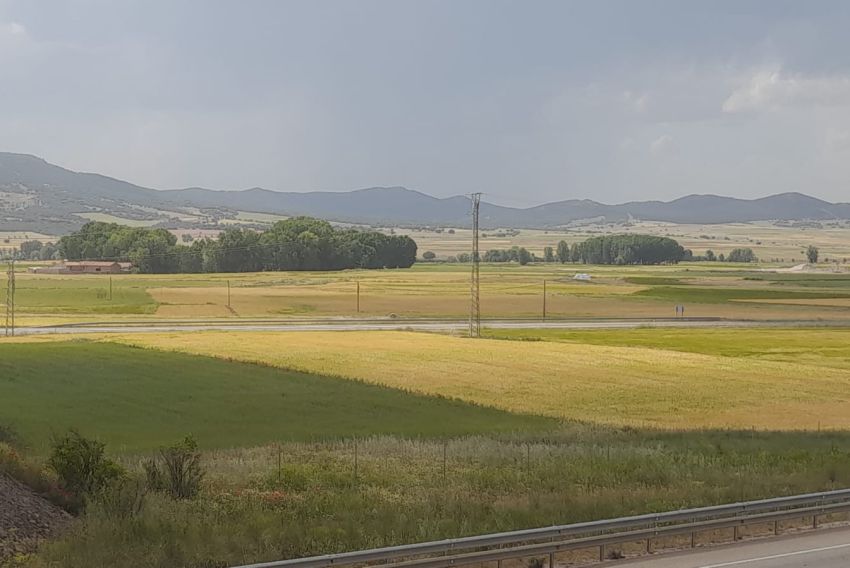 Agricultura refuerza la plantilla en Teruel para avanzar en las concentraciones parcelarias, que acumulan años de retraso