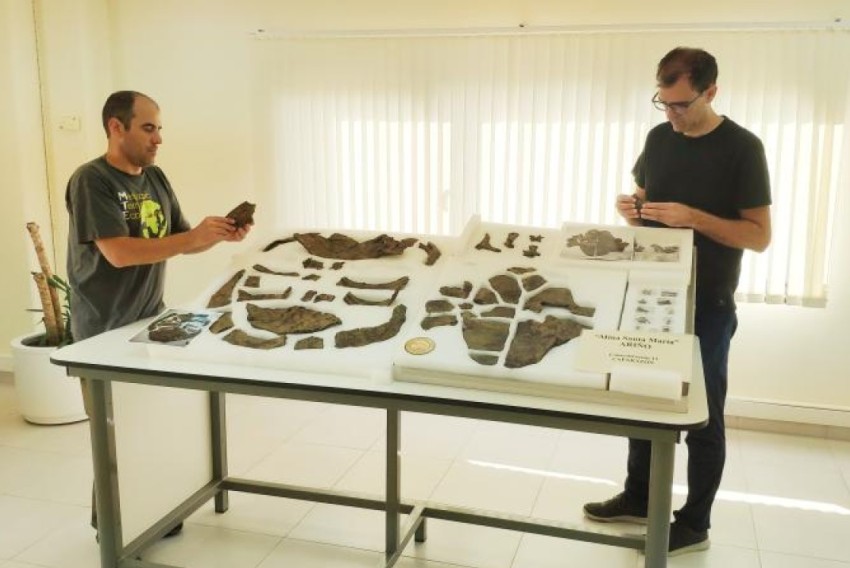 Descubren en Ariño el esqueleto más completo de Europa de una tortuga de hace 110 millones de años