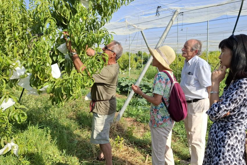 Una delegación de la Cámara de Comercio Hispano Japonesa visita la provincia de Teruel