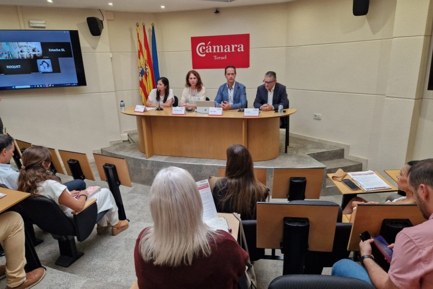 El pequeño comercio de la provincia de Teruel recibirá 500.000 euros del Fite