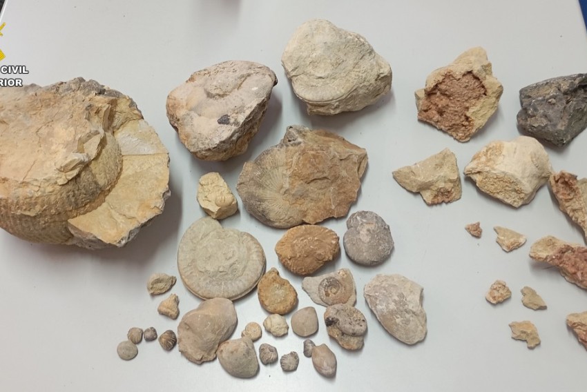 La Guardia Civil de Teruel interviene en un caso de expolio de 40 fósiles y minerales en Villar del Cobo
