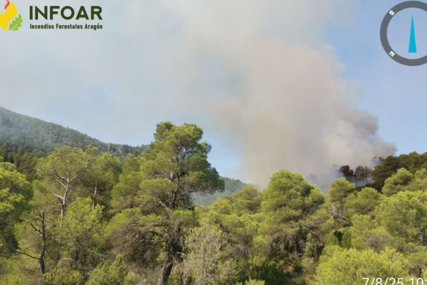 Controlado el incendio que ha obligado a desalojar El Parrizal de Beceite
