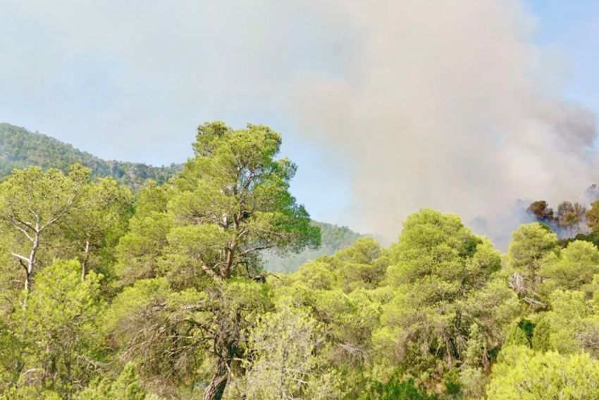 Evacúan La Pesquera de Beceite por un incendio rápidamente controlado con un amplio despliegue de medios