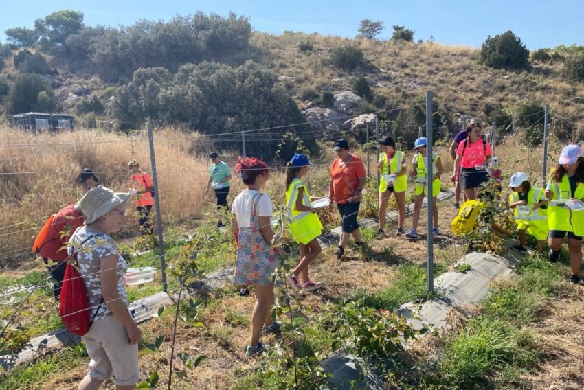 La Mata de los Olmos se acerca a la minería de arcilla con una visita a su explotación