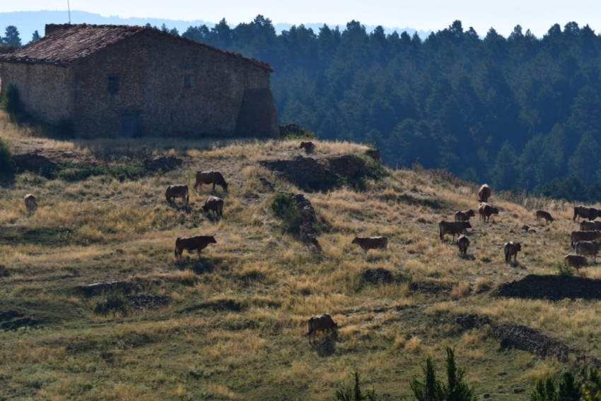 Chunta se posiciona en contra del macroalmacén de CO₂ proyectado en el Maestrazgo