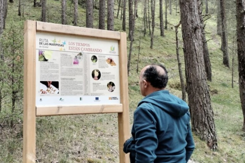 La Ruta de las Mariposas, en Gúdar, apuesta por un modelo distinto de turismo de naturaleza