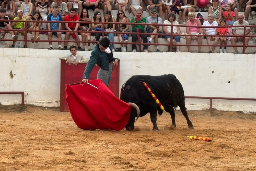 Rubén Pinar borda el toreo al natural con un novillo de Alicia Chico en Bronchales