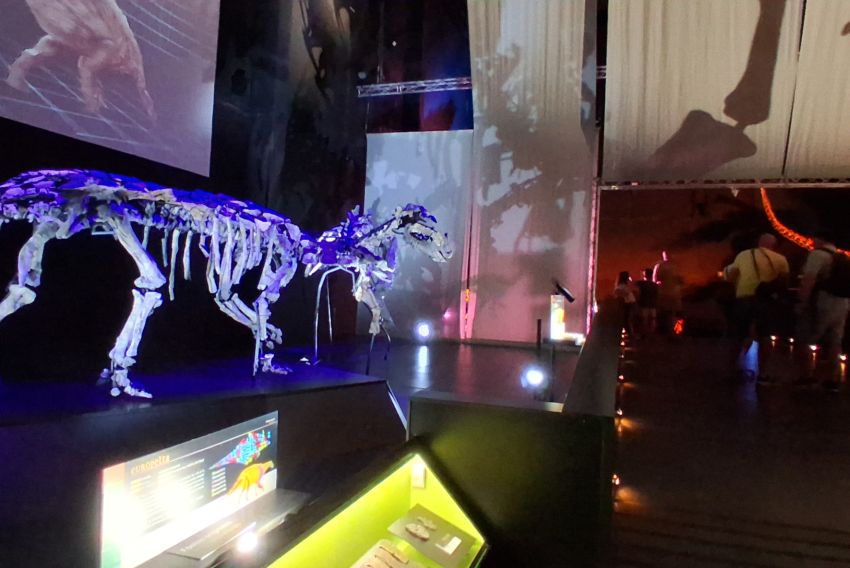 ‘Los 5 magníficos’ del Museo Paleontológico aragonés, el quinteto de oro  de la dinosauriología de este siglo