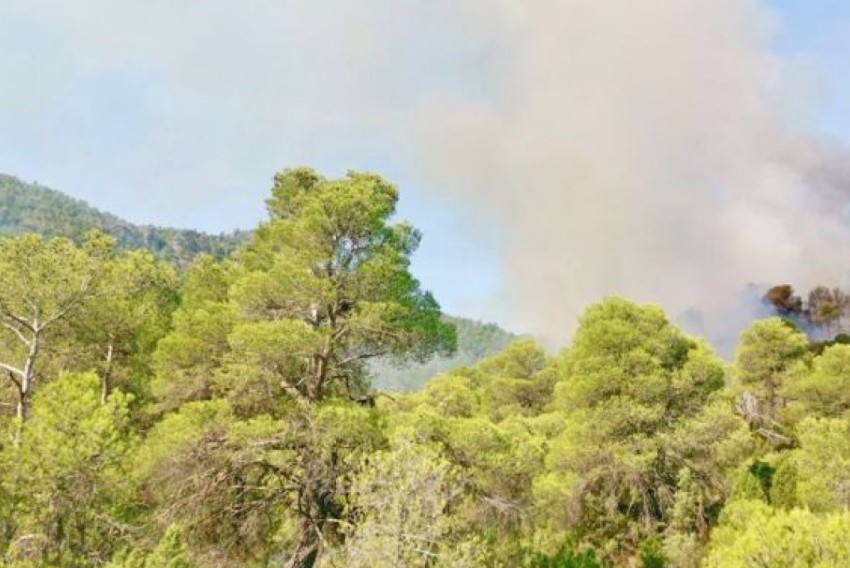 El Gobierno habilita la vía para que los damnificados por los 114 incendios forestales registrados en los últimos dos meses, entre ellos el de Beceite, soliciten ayudas y subvenciones