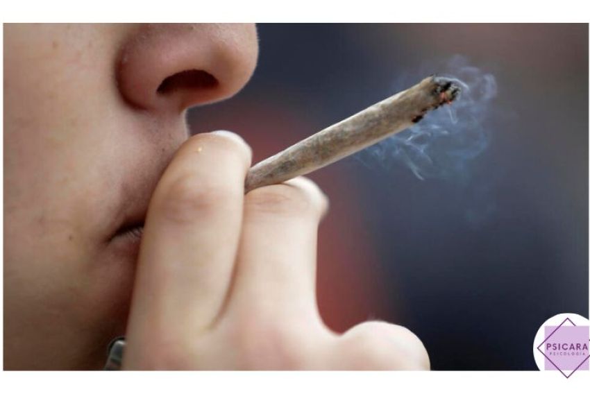 El consumo de cannabis: la droga ilegal más consumida