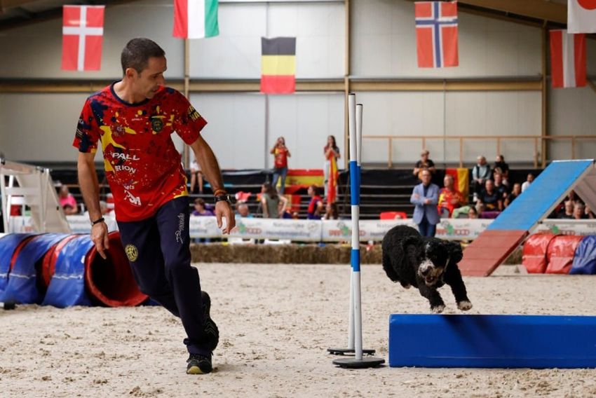 Canes turolenses representarán a España en el ICMA de Italia