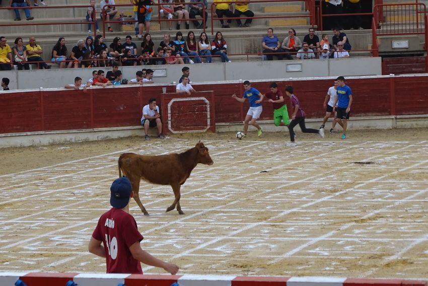 Las vaquillas regresan al coso taurino y a la céntrica plaza de Los Arcos de Alcorisa