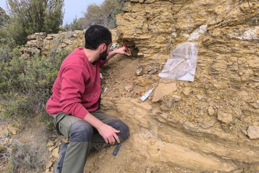 Una investigación revela nuevos grupos de dinosaurios herbívoros en el Jurásico a través de fósiles de Teruel y Valencia