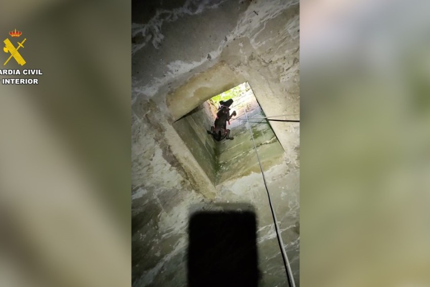 La Guardia Civil rescata a un perro abandonado siete días en un aljibe e investiga a una persona por maltrato animal en Calanda