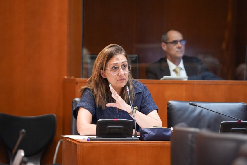 Aragón-TE pide ayudas urgentes para los agricultores de Castellote y Mas de las Matas por los daños del granizo