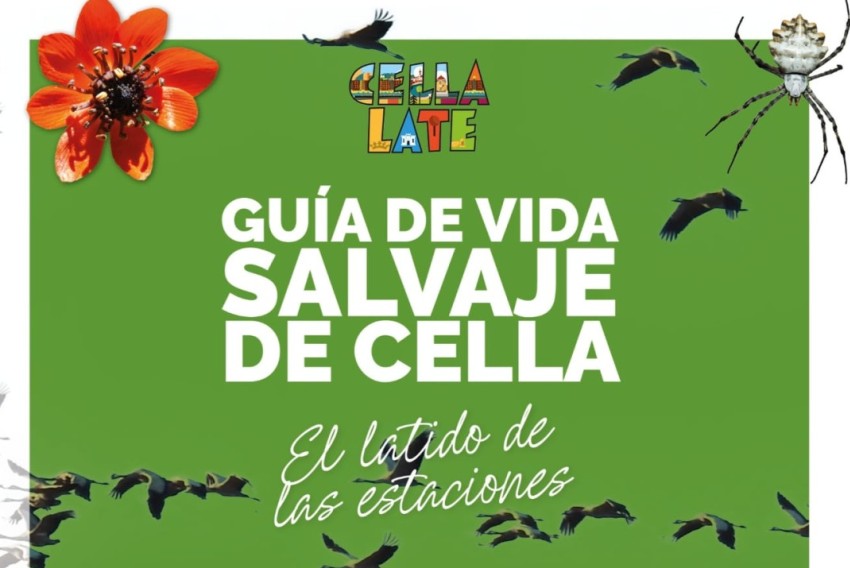 Cella reúne su patrimonio natural en la ‘Guía Salvaje de Cella: El latido de las estaciones’