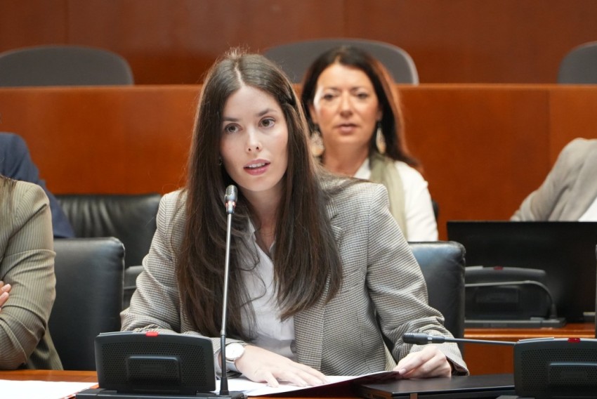 Las Cortes de Aragón solicitan que se estudie la incorporación del vial que une Cella con el aeropuerto a la red regional de carreteras