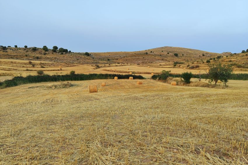Las indemnizaciones de Agroseguro se aproximan  a los 9 millones de euros
