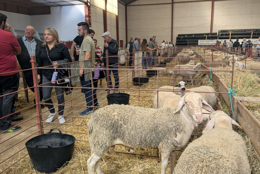El laboratorio de Algete confirma que los casos de lengua azul de Teruel son de serotipo 3