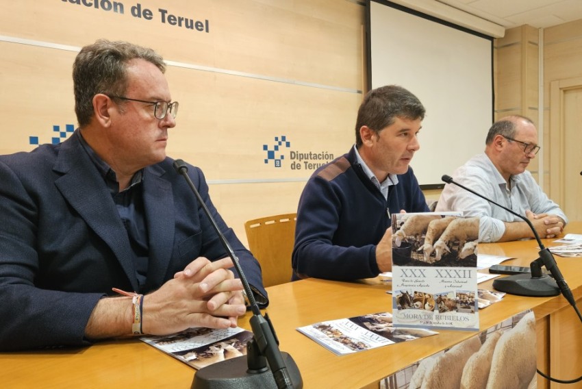Mora de Rubielos celebrará su Feria Ganadera sin vacuno ni aves por cuestiones sanitarias