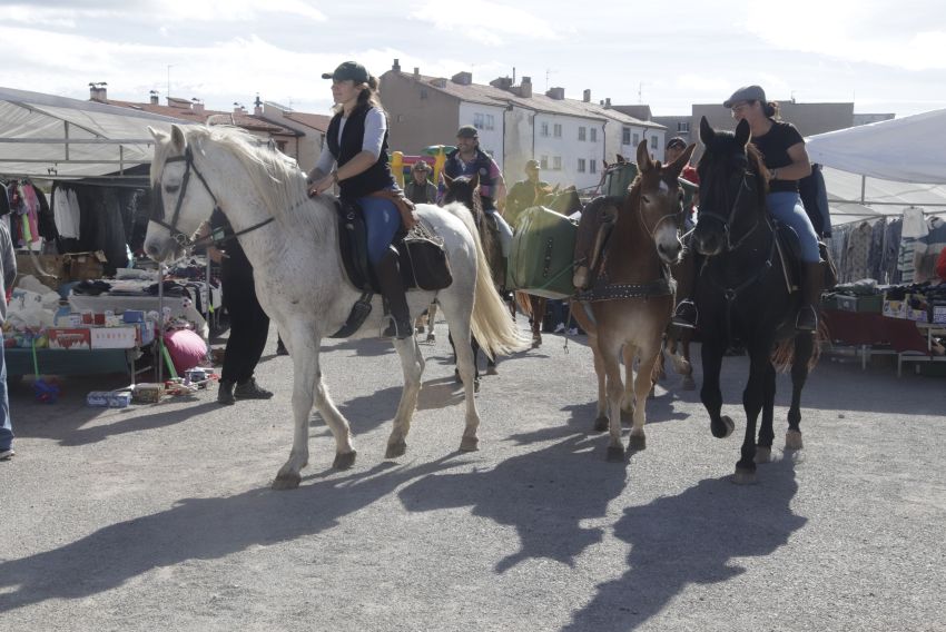 Los ganaderos, “relativamente tranquilos” ante las medidas de sanidad animal