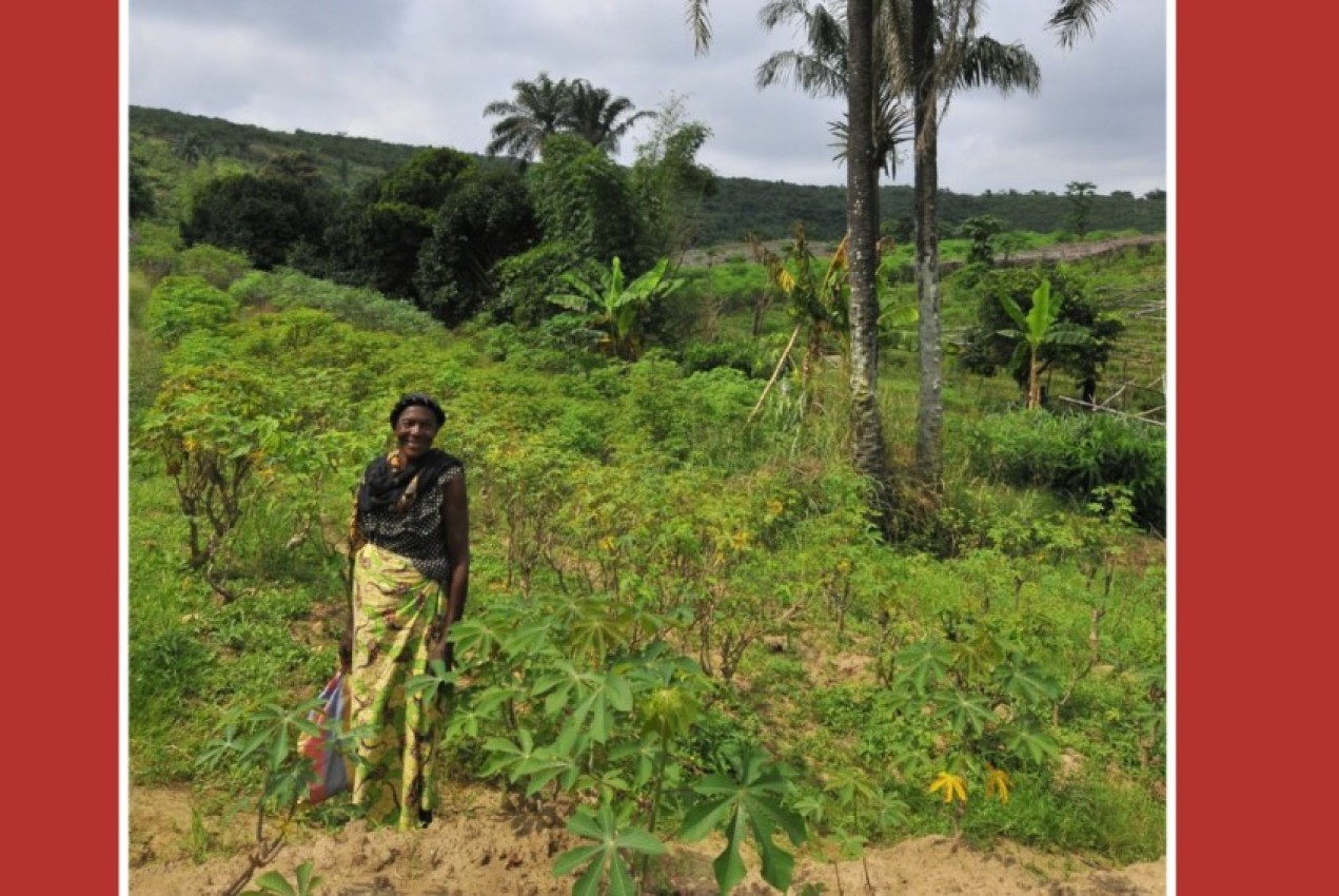 Pan de molde, uralitas y máquinas de coser: una perspectiva de la solidaridad con África