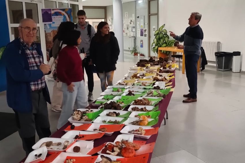 Las Jornadas Micológicas en el Campus muestran  la riqueza de Teruel