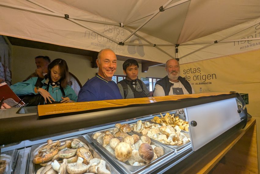 Profesionalizar la figura del recolector y renovar las masas forestales, claves en el futuro del recurso micológico