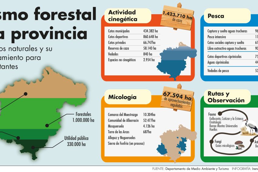 De caza a setas pasando por la berrea, el monte de Teruel es garantía de ocio