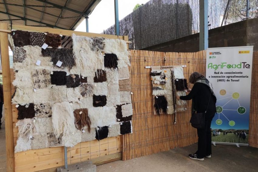 Arens de Lledó acogerá  la II Feria de la Lana con  el Cita como coordinador