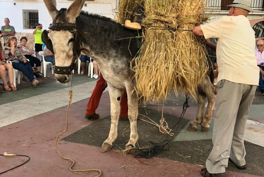 Torres de Albarracín celebrará de nuevo la fiesta del Orgullo Rural