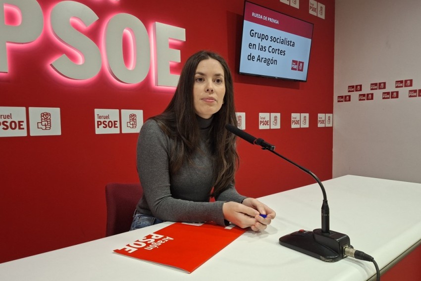 El PSOE pide al Gobierno de Azcón que agilice la atención dermatológica en Teruel con personal y recursos propios