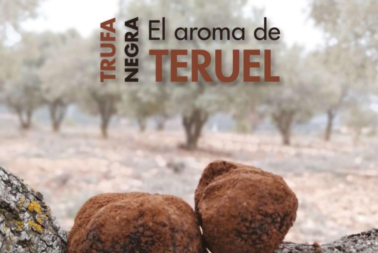 Trufa Negra