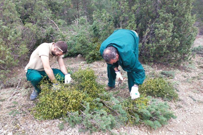 Las investigaciones del Fite llegan a campos y granjas  y repercuten en el bolsillo de agricultores y ganaderos
