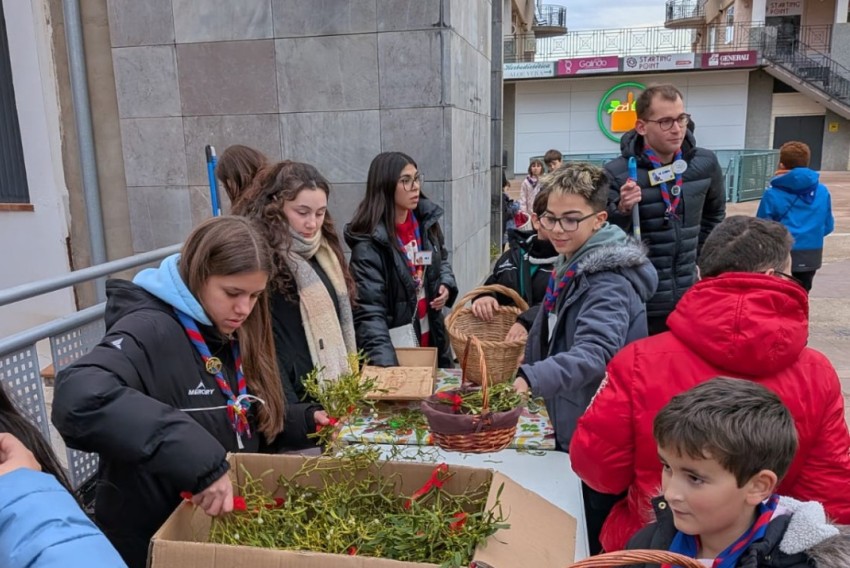 Medio centenar de niños de Alcañiz venden muérdago para causas sociales a través del grupo Scout