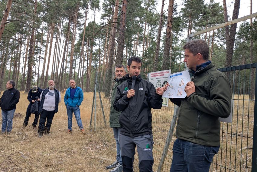 El Puerto de Bronchales,  un laboratorio vivo donde ver cómo afecta la gestión forestal en la micología