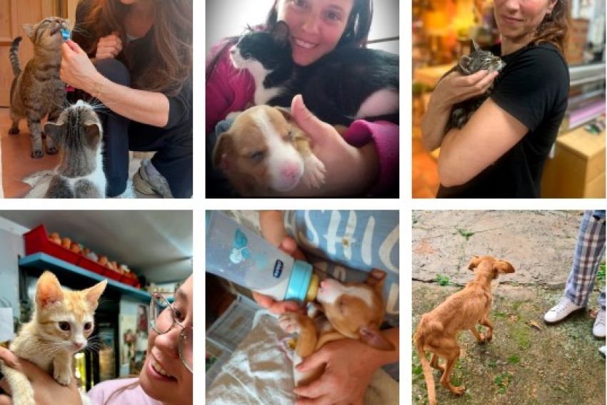 Alma Animal se oficializa como protectora de animales en Calamocha