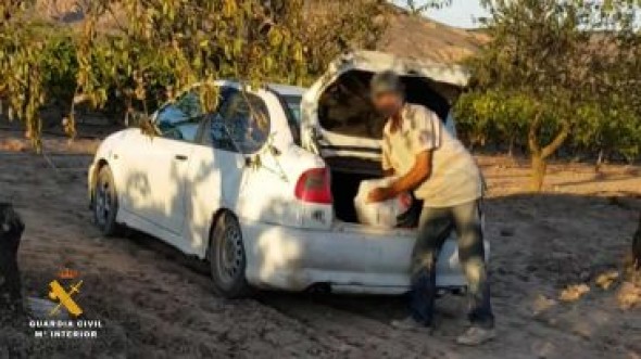 La Guardia Civil detiene a siete personas e investiga a otras dos por robar al menos 5.700 kilos de almendras en La Rioja y Aragón