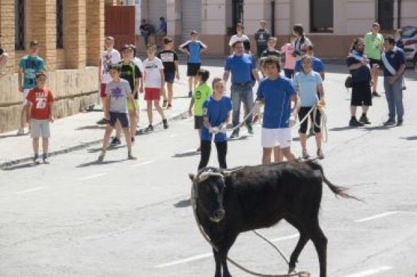 La DGA plantea sancionar con 1.200 euros a Interpeñas por una becerrada ensogada