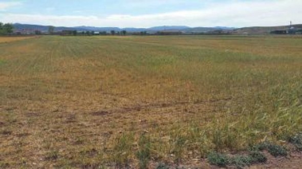 Las operaciones de préstamos de sequía concedidas por Caja Rural de Teruel superan ya los 20 millones de euros