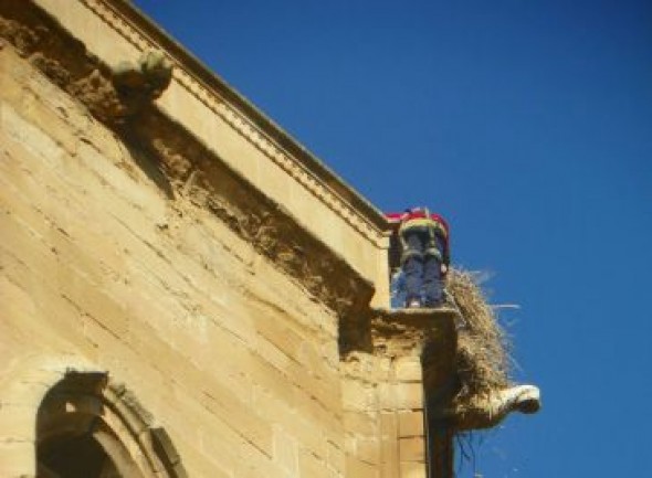 Retiran los nidos de cigüeñas de la torre gótica de Alcañiz para empezar las obras