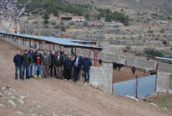 Los toros que se ensogarán en la Vaquilla ya están elegidos