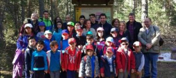 Bronchales quiere convertirse en la capital micológico-educativa de la Sierra de Albarracín