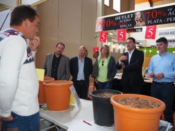 Rehalas, tractores y ganado, protagonistas de la Feria de Alfambra