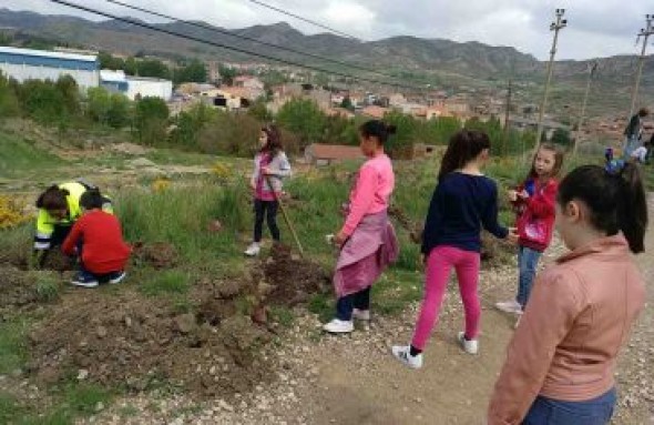 Los niños de Utrillas plantan cien nuevos árboles