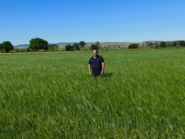 UAGA prevé una buena cosecha de cereal de invierno en Teruel