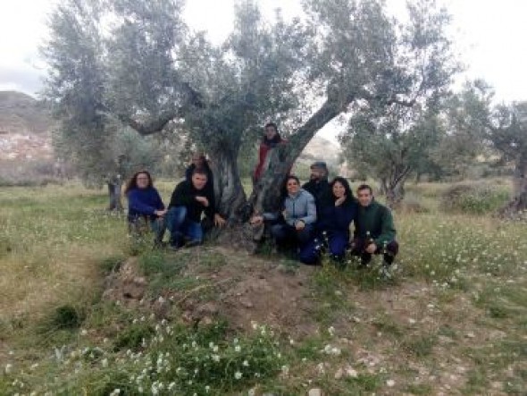 El Inaem aporta formación al futuro del olivo en Oliete