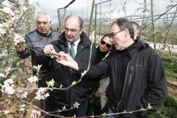 El proyecto innovador de fruticultura en altura de Villarquemado estudia la ampliación a 150 hectáreas que incluirá manzanos y cerezo tardío