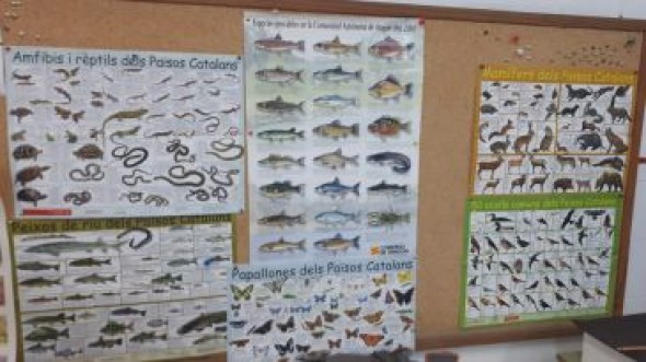 El colegio de Valderrobres da su versión sobre los carteles que hacen referencia a la fauna de los Països catalans: “Decir que adoctrinamos es difamar”